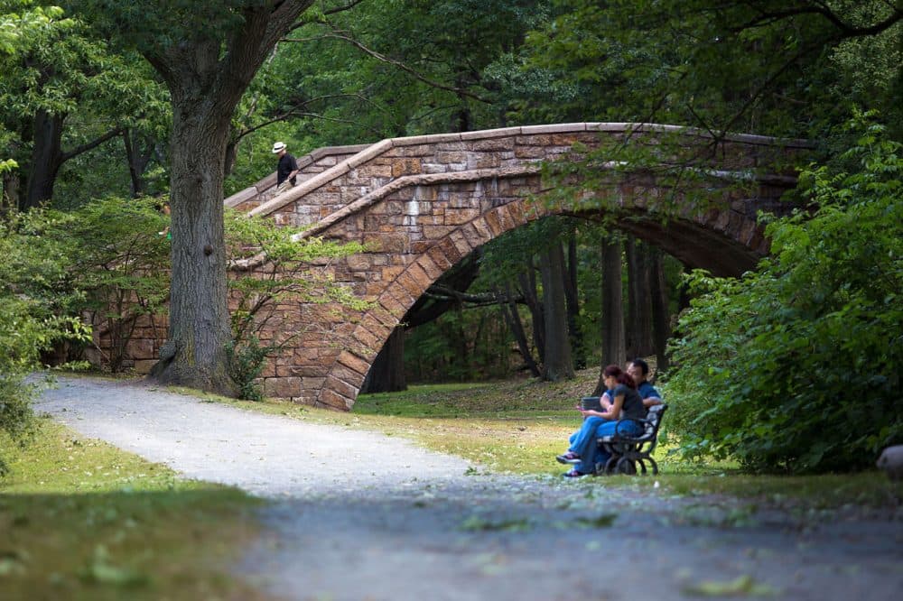 A couple sits on a bench near the Short Street Step Bridge by the Muddy River on the Riverway. The Riverway is part of landscape architect Frederick Law Olmsted's Emerald Necklace. (Jesse Costa/WBUR)