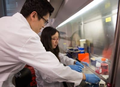 State-Funded Lab At Harvard Medical Aims To Reinvent Drug Discovery