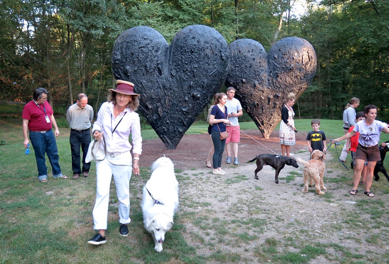 DeCordova's chief curator, Jennifer Gross, leads a group of dogs and their owners on a walk around the park's trails as part of events linked to the museum's latest exhibit. (Andrea Shea/WBUR)