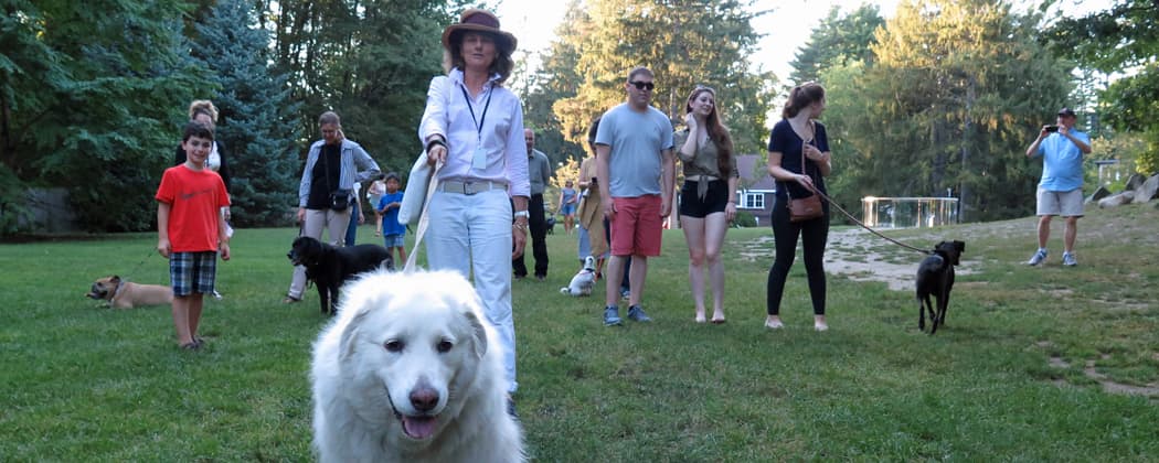 Dogs and their owners enjoy a group walking tour put on the by deCordova Sculpture Park and Museum. (Andrea Shea/WBUR)