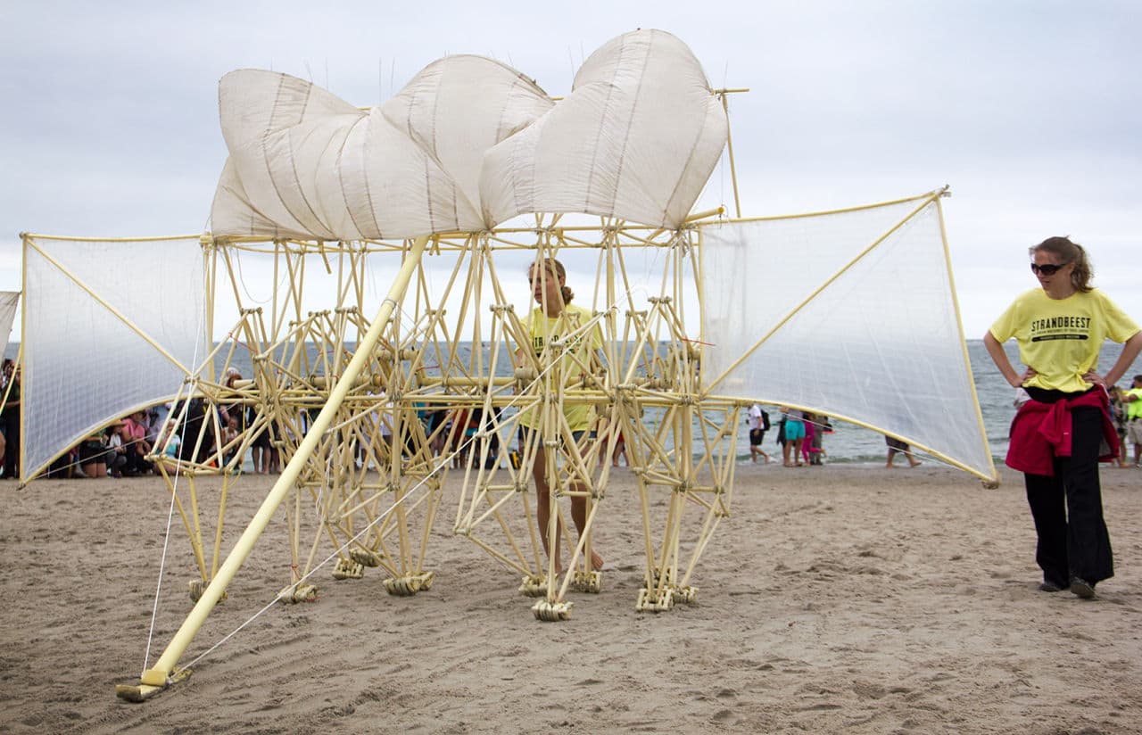 On Aug. 22, "Strandbeest: The Dream Machines of Theo Jansen" came to Crane Beach, where the kinetic sculptures walked around for the public. (Susan Hagner for WBUR)
