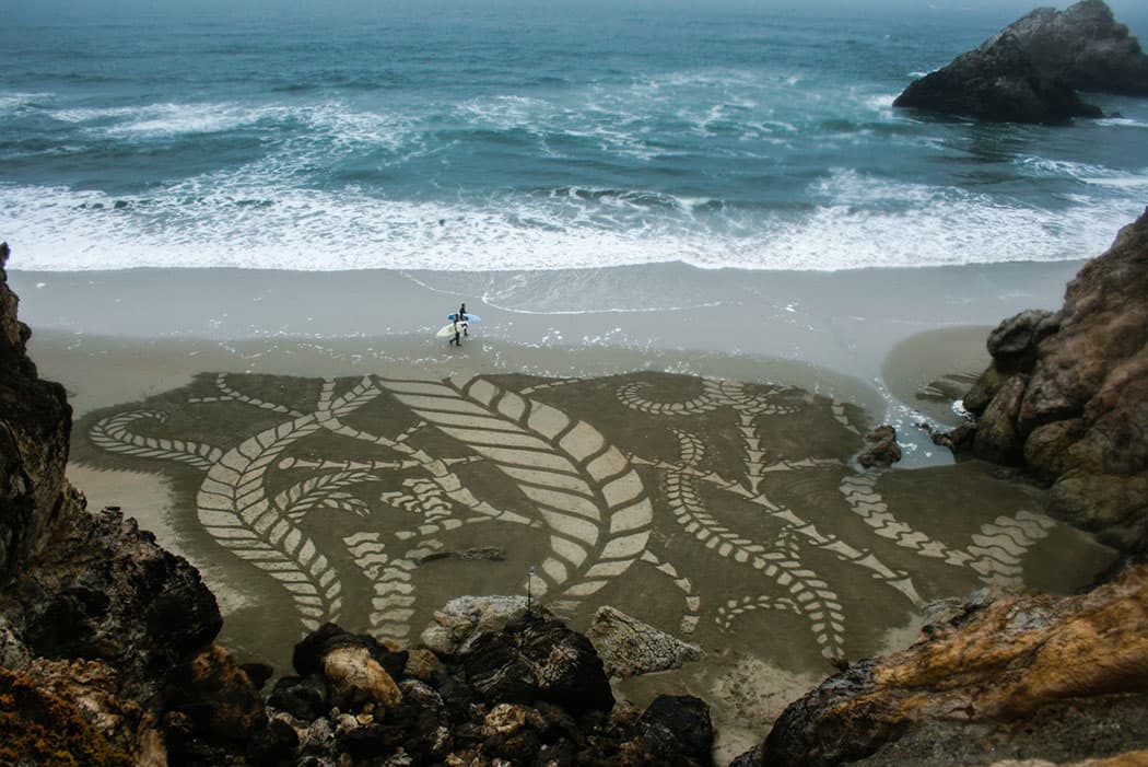 Andres Amador's "Seaweed." (Courtesy)