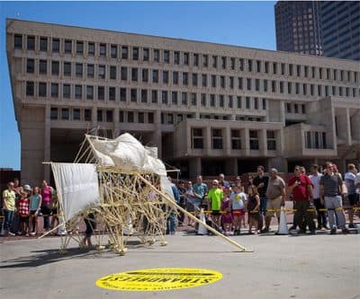 Wind-Powered Strandbeests Amble Their Way Into Boston