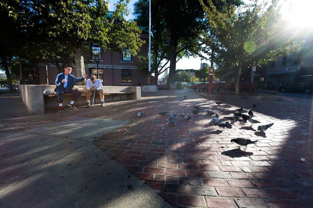 Joey feeding the birds in the morning in Bellingham Square. (Jesse Costa/WBUR)
