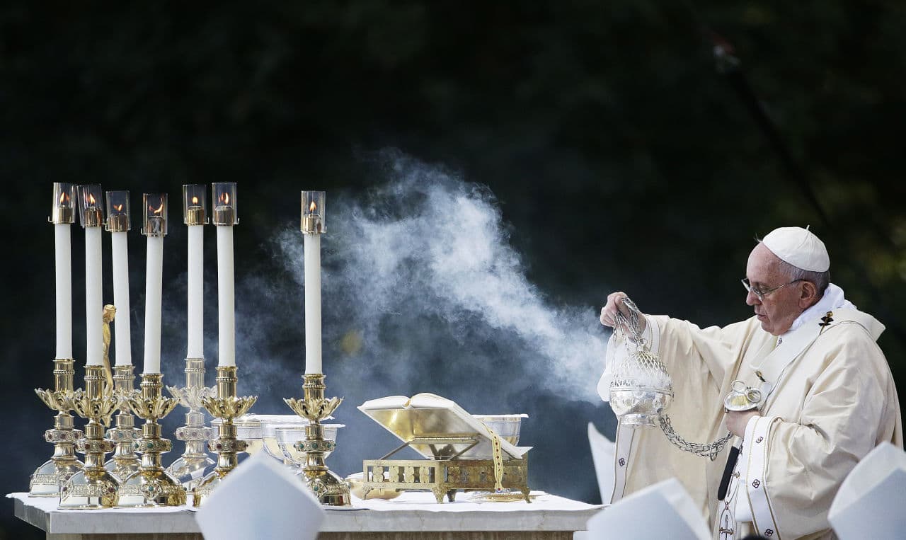Pope Francis conducts Mass outside the Basilica of the National Shrine of the Immaculate Conception. (David Goldman/AP)