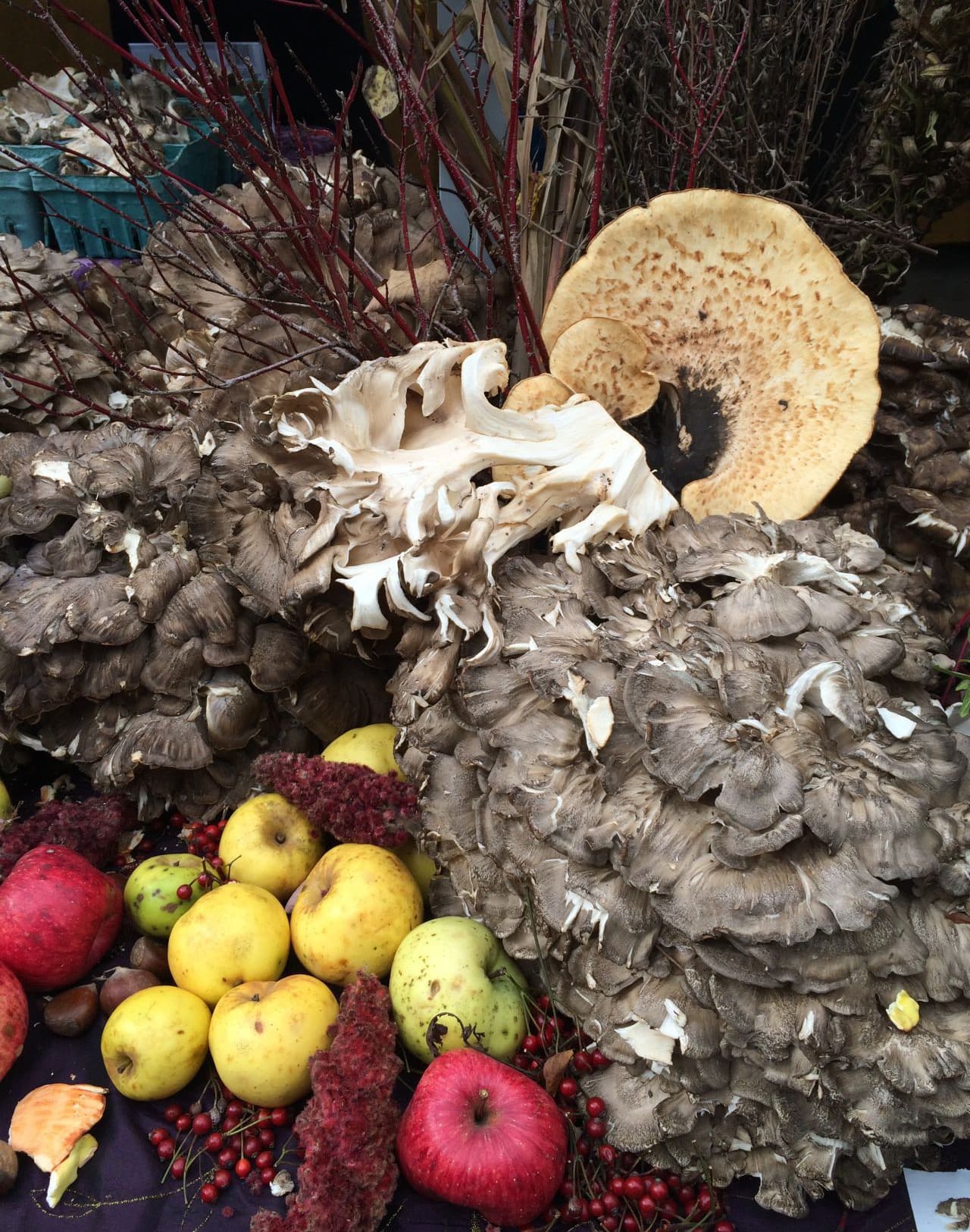These are some of the wild mushrooms Kathy Gunst found at a market in Rome, Italy. (Kathy Gunst)