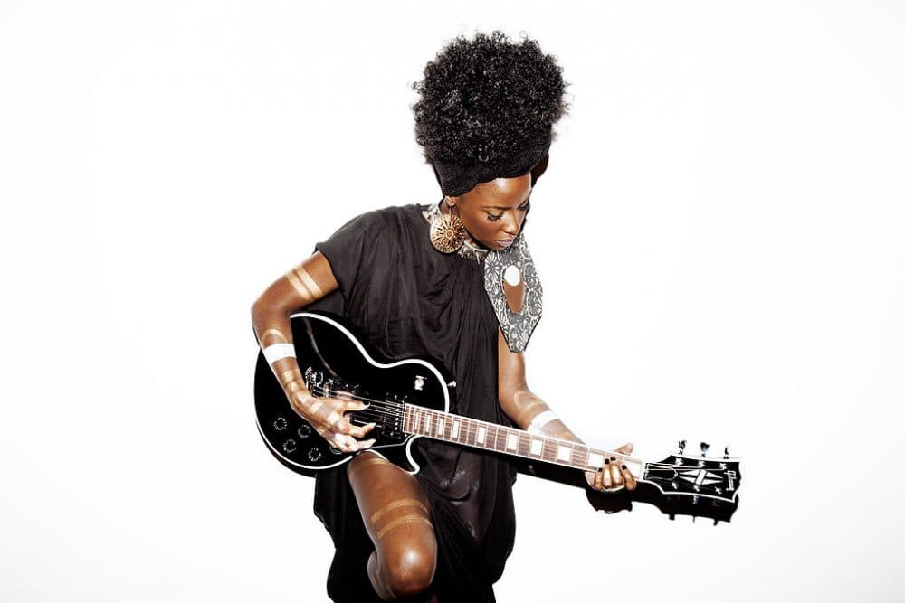 Shea Rosen Gardner Museums's RISE Concert Series Aims To Bring In Pop, Hip-Hop ...