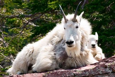 Our Week In The Web: November 20, 2015