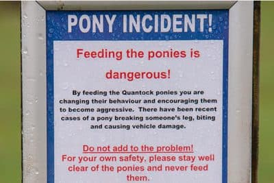 Our Week In The Web: November 13, 2015