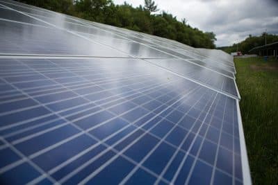 Polling Shows Little Urgency From Mass. Voters On Climate Change