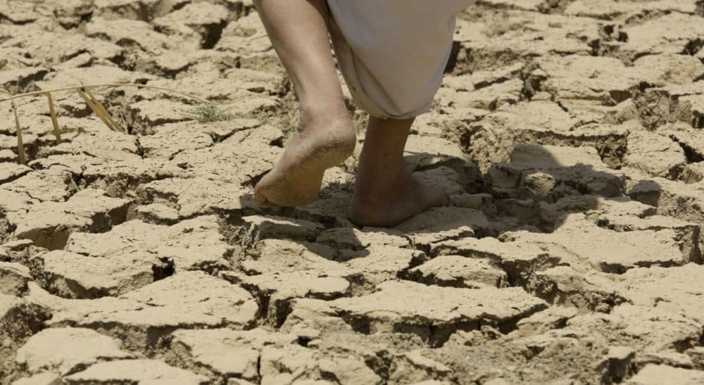 Seth Itzkan and Karl Thidemann: &quot;Soil restoration is a necessary second front in our battle against the heating up of Earth’s atmosphere.&quot; Pictured: Drought-stricken land in Iraq in 2009. (Hadi Mizban/AP)