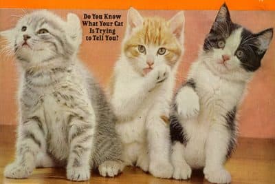 Our Week In The Web: December 18, 2015