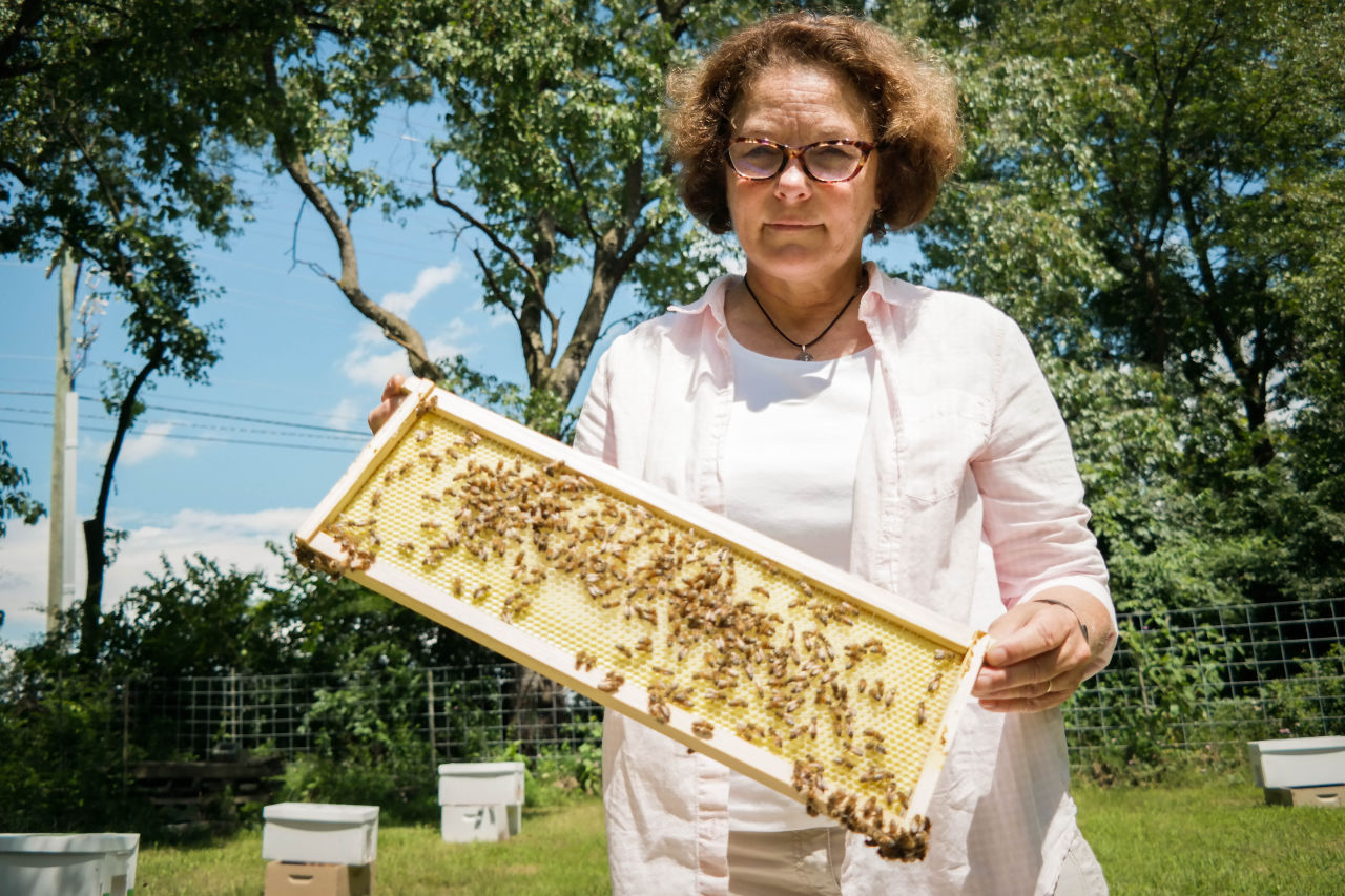 Maryann Frazier, a researcher at Penn State's Center for Pollinator Research, checks on one of her experimental honeybee hives. Frazier is testing the effects of pesticides on honeybee colonies. (Lou Blouin)