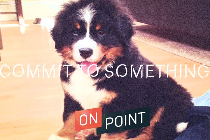 Our Week In The Web: January 29, 2016