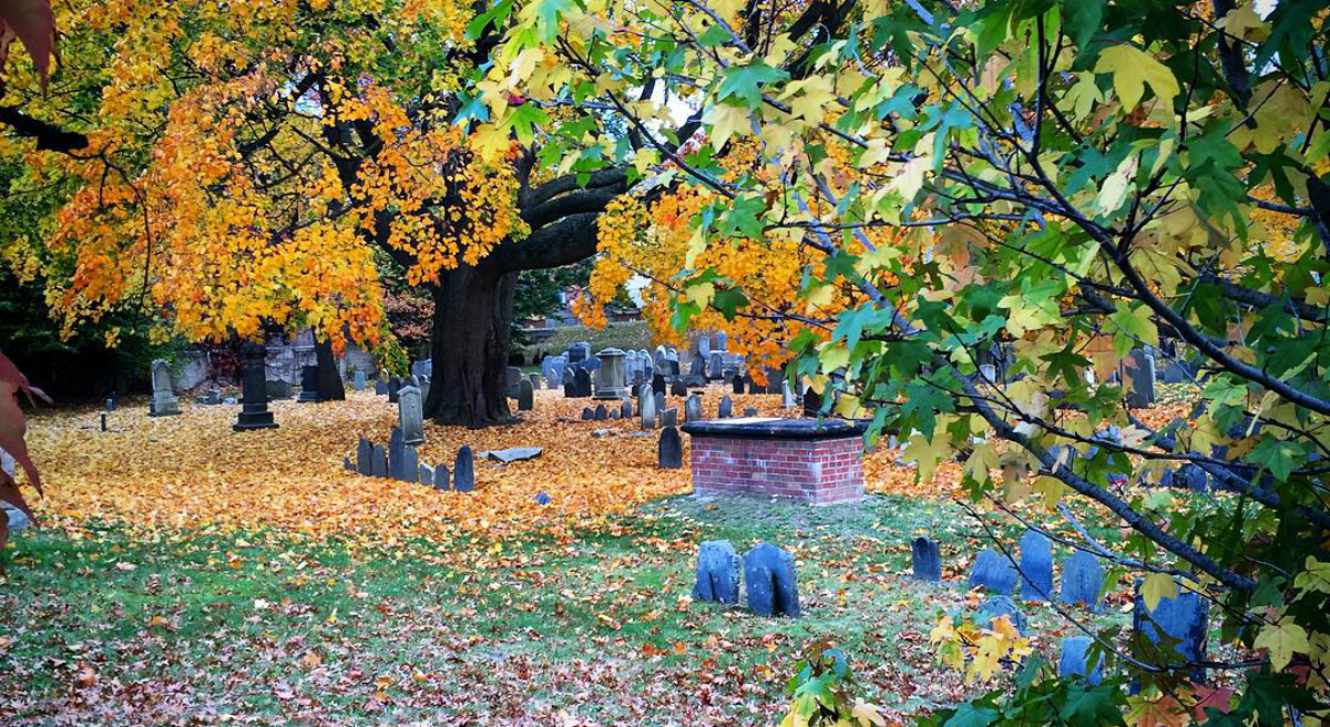 The Ghosts Of Dorchester: Can Unlocking The Past Enrich A Neighborhood's Future?