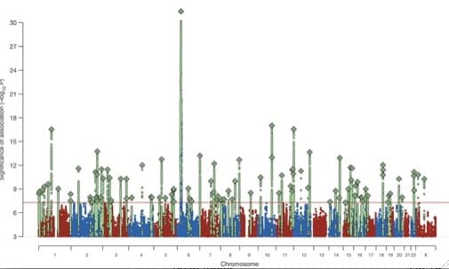 The area of DNA where the gene C4 is located towers highest -- meaning it has the strongest link -- on this "skyline" of genome sites with known links to schizophrenia. (Courtesy of the Psychiatric Genomics Consortium via NIMH)