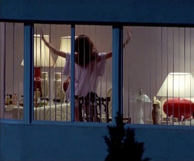 'Sex & Death & Venetian Blinds': The Brattle Revisits '80s And '90s Noir