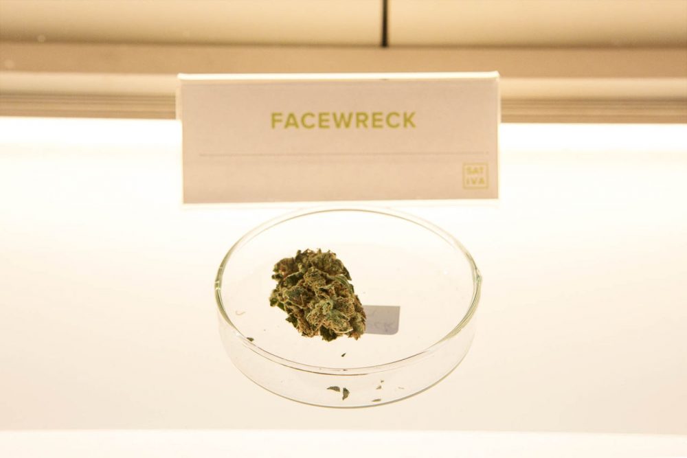 A sample of Facewreck marijuana flower in a display cabinet in the retail area of New England Treatment Access. (Jesse Costa/WBUR)