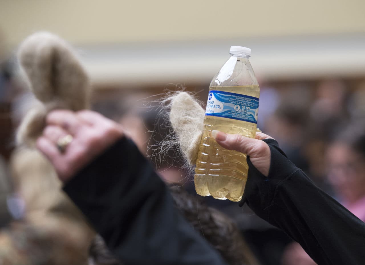 A resident of Flint, Mich., holds up water from Flint and hair pulled from her drain, during a House Oversight and Government Reform Committee hearing on Capitol Hill in Washington, Feb. 3, 2016. (Molly Riley/AP)