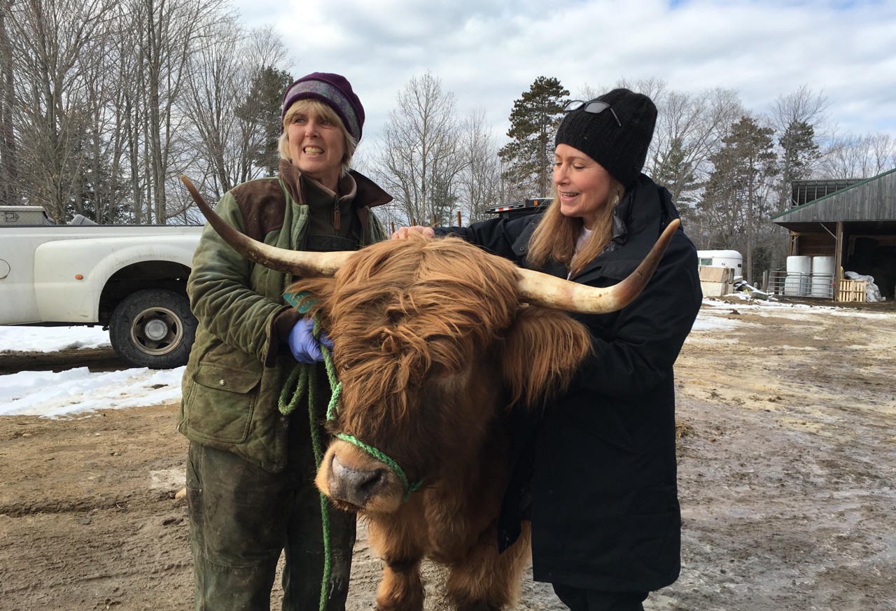 Iowa, New Hampshire, 2 Conventions And More: Robin's Election Road Trip
