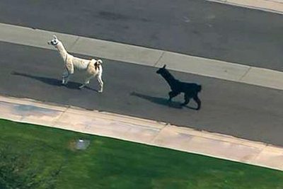 Our Week In The Web: February 26, 2016