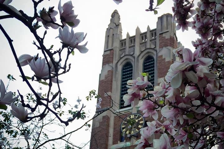 In this March 8, 2015 file photo, the campus of Michigan State University awakens to a spring floral blossom. MSU is listed one of the nation's top research universities. (Courtesy MSU)