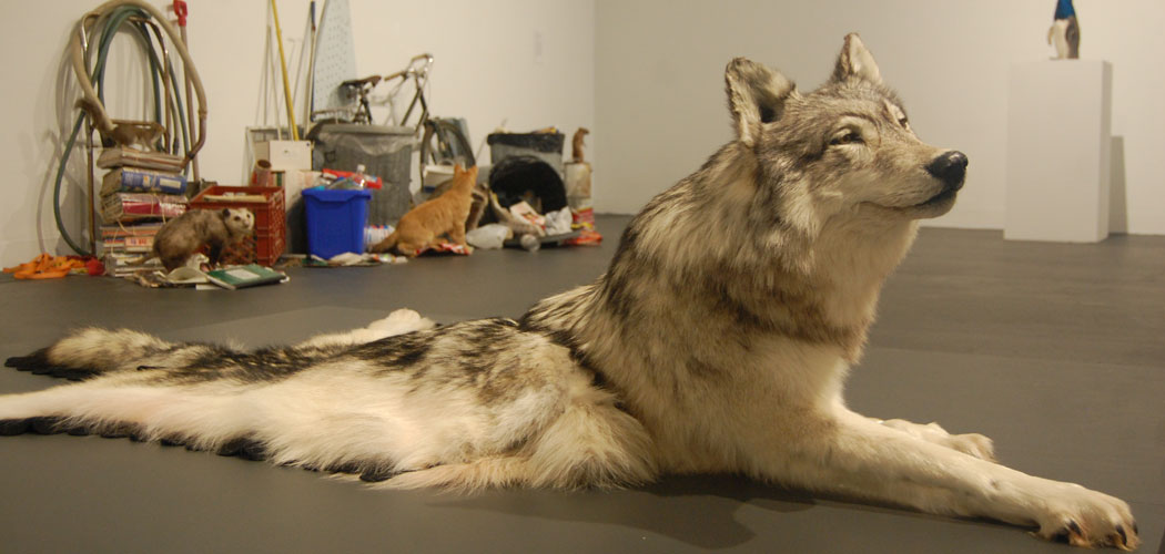 Reckoning With 'The Curious Occurrence Of Taxidermy In Contemporary Art' |  WBUR News