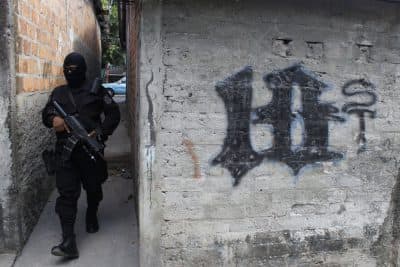 'Embedded': How Violent Gangs Are Terrorizing El Salvador
