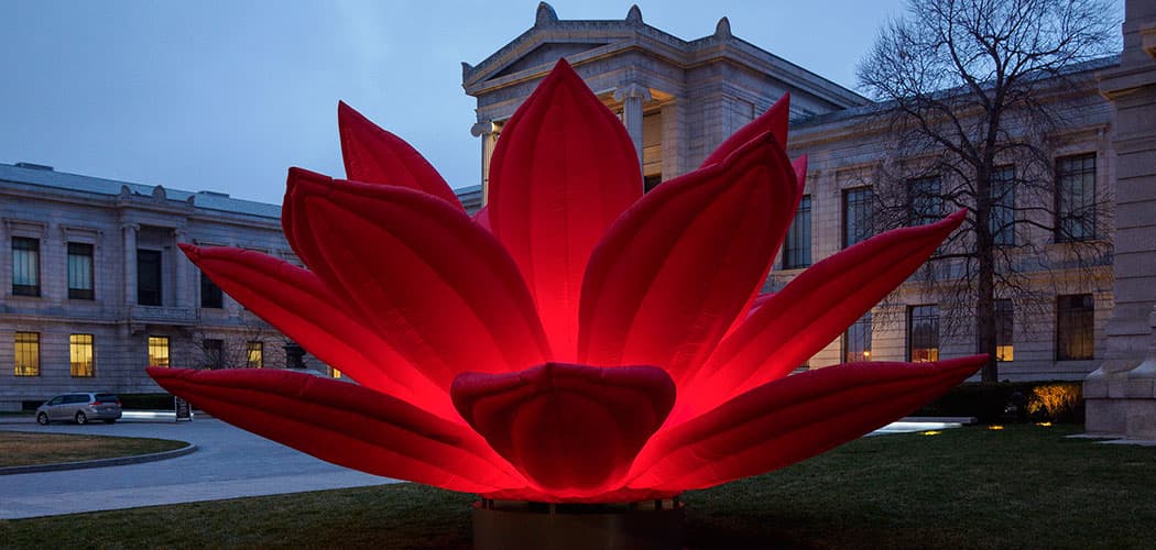 Choi Jeong Hwa's &quot;Breathing Flower,&quot; 2016, from “Megacities Asia” at Boston's Museum of Fine Arts. (Courtesy Museum of Fine Arts)