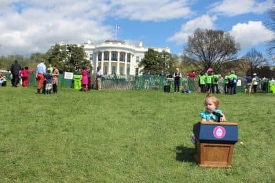 Our Week In The Web: April 1, 2016