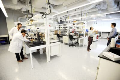 Northeastern Launches Consortium To Develop Nanotech Materials