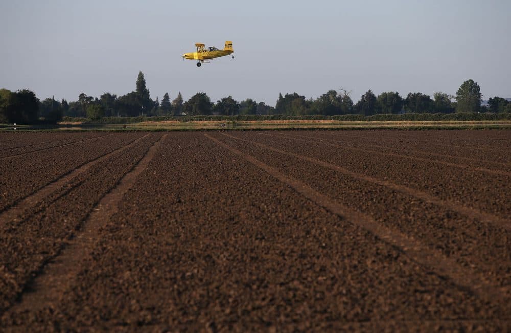 A bi-plane from Williams Ag Service flies over an unplanted rice field on May 8, 2015 in Biggs, California. (Justin Sullivan/Getty Images)