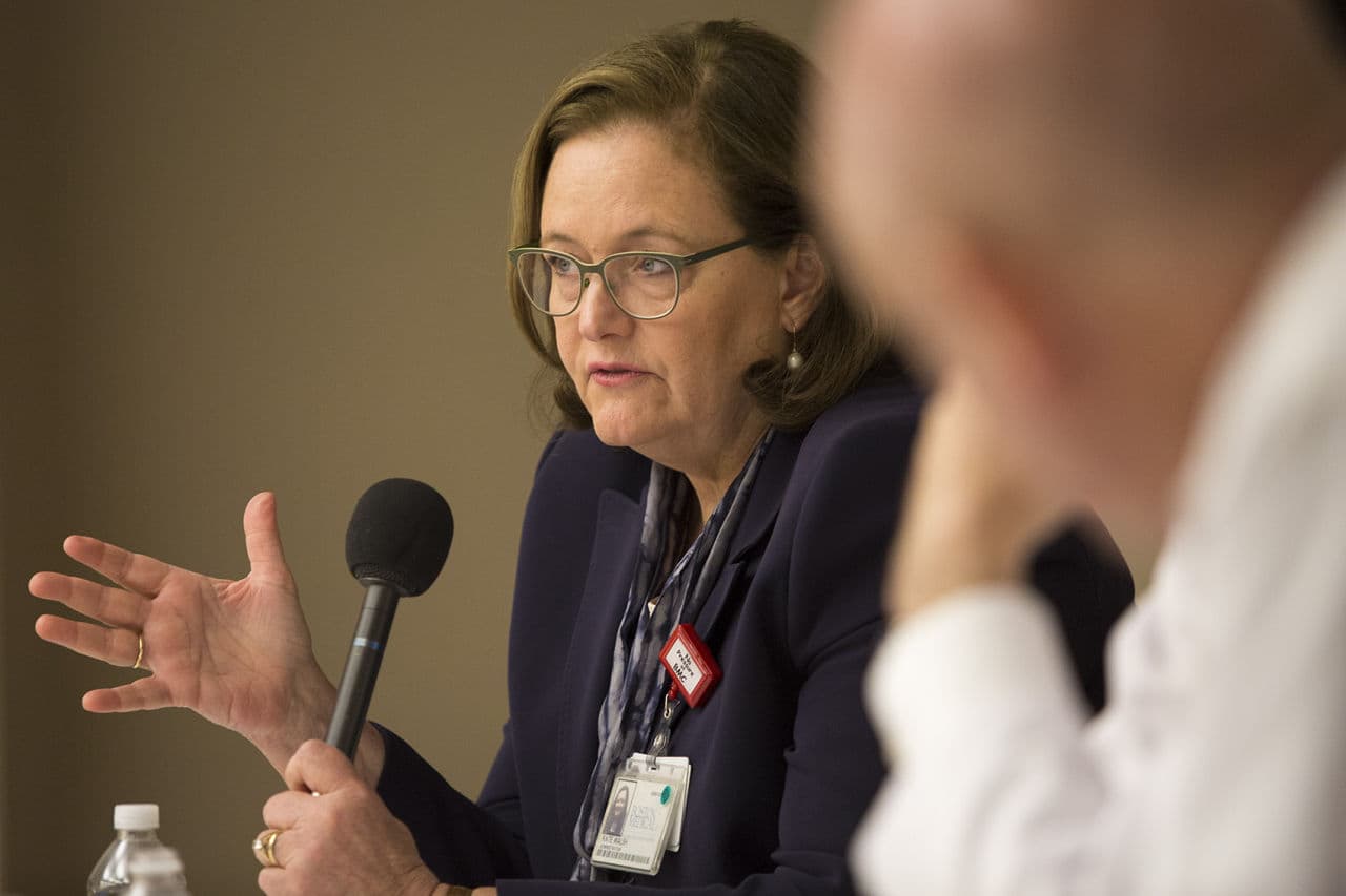 At a press briefing at Boston Medical Center, Kate Walsh, President and CEO of BMC announces the establishment of the first transgender medical program in New England at BMC. (Jesse Costa/WBUR)