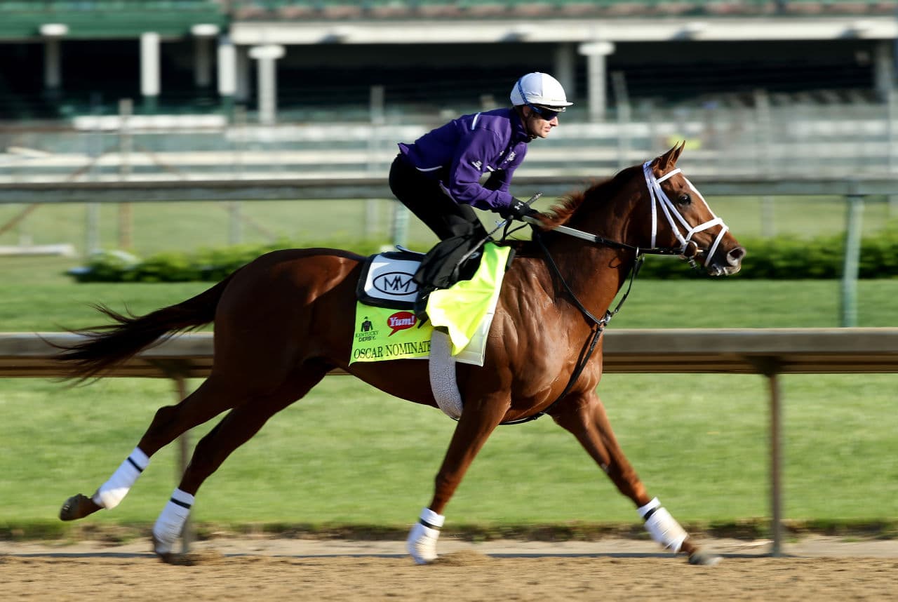 Chatterbox To Zippity Doodah Day: The History Of Racehorse Names