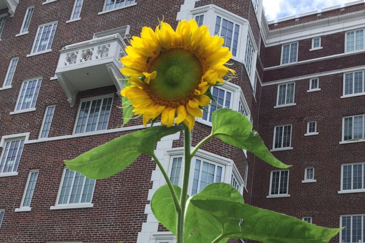 In The Garden, Mother Nature Makes The Rules