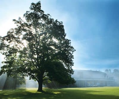 8 Classical Music Festivals For A Festive Summer