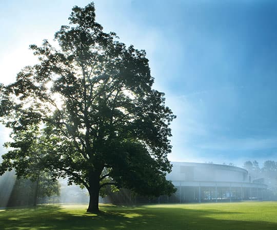 8 Classical Music Festivals For A Festive Summer