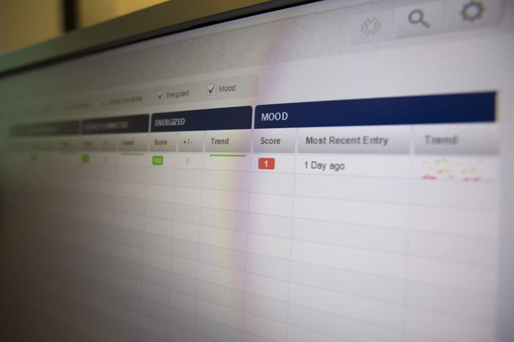 Out and About, Socially Connected, Energized and Mood are the four categories the Cogito Companion app tracks. (Jesse Costa/WBUR)