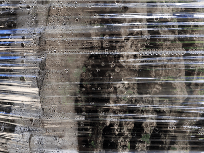 MIT Museum Celebrates Photography As A Tool For Communicating Science