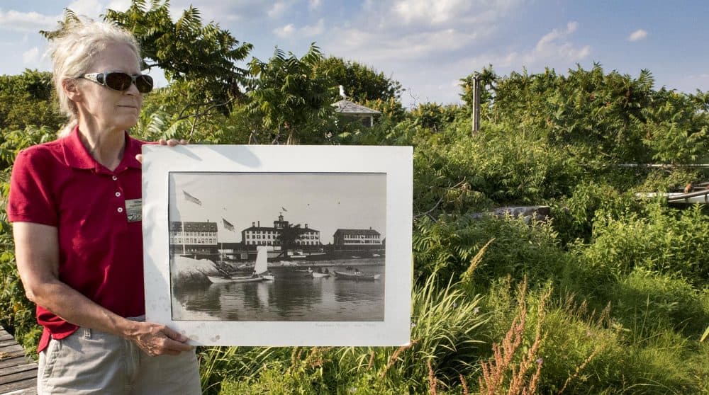 Robin Hadlock Seeley, from the Shoals Marine Lab, stands with a picture of the hotel that used to be on the island. (Andrea Shea/WBUR)