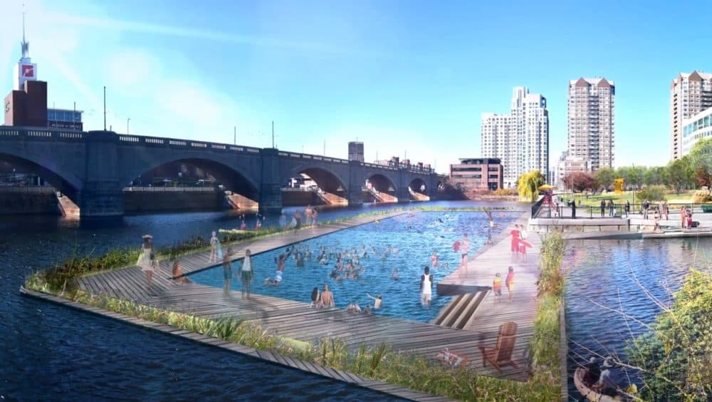 A rendering of what the conservancy imagines a floating dock would look like. (Courtesy Charles River Conservancy)