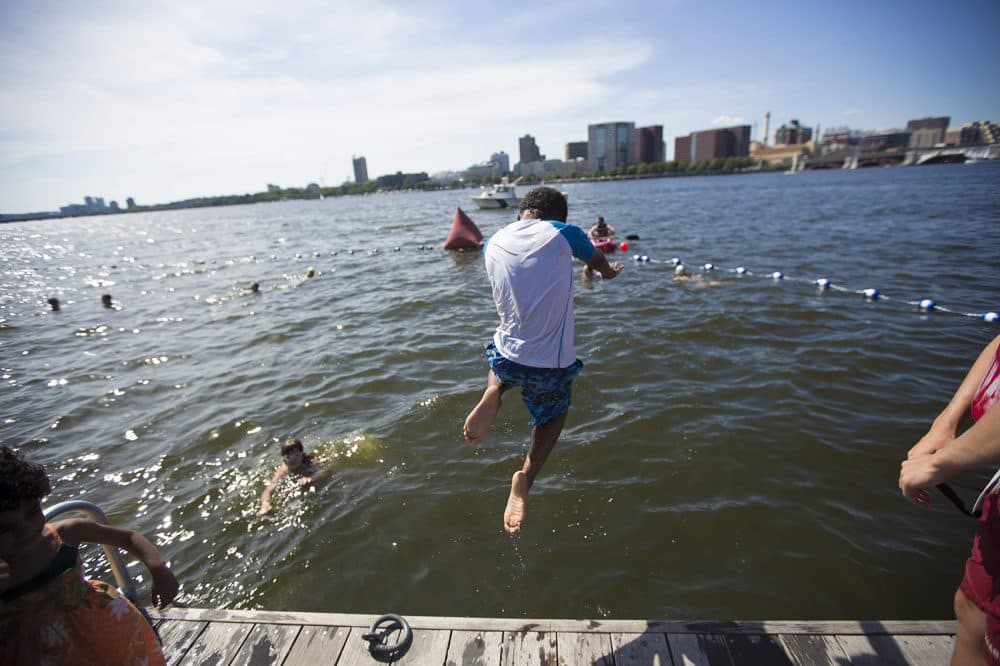 Nick Hill, from Cambridge, takes his first jump into the Charles River. (Jesse Costa/WBUR)