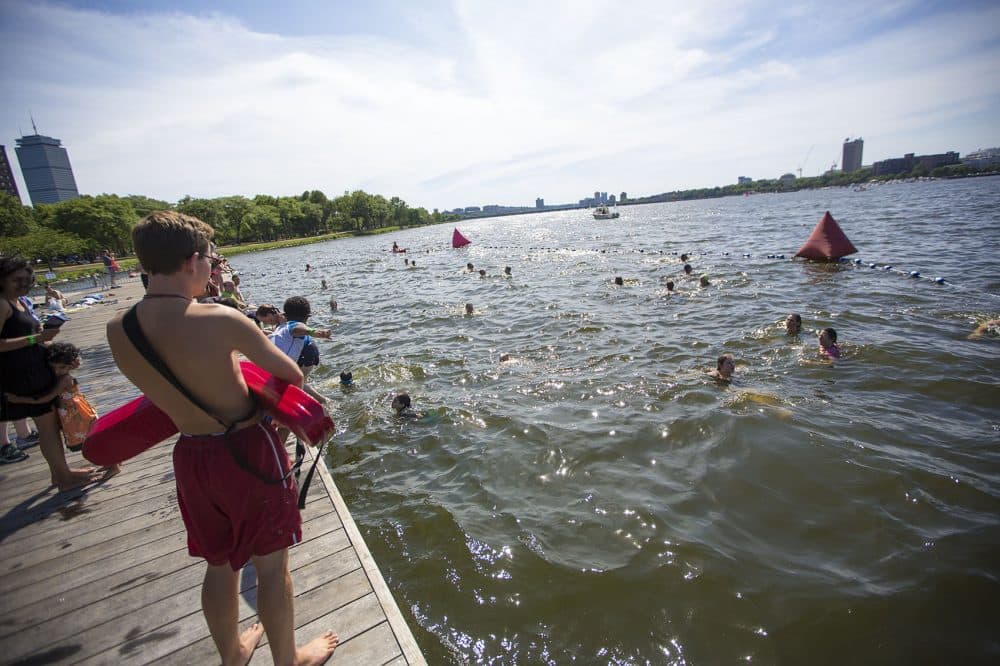 Swimmers take a dip during the fourth annual City Splash, hosted by the Charles River Conservancy. (Jesse Costa/WBUR)