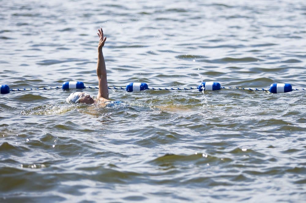 A woman swims backstroke at the edge of the designated swimming area. (Jesse Costa/WBUR)