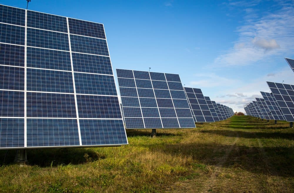 An array of 366 solar tracking devices stand in a field Oct. 31, 2014 in South Burlington, Vermont. (Robert Nickelsberg/Getty Images)