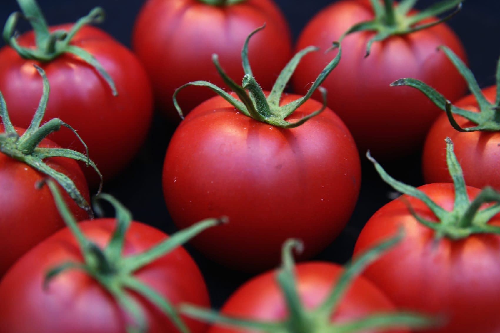 A minor league baseball team is considering changing its name to the Love Apples. (Dan Kitwood/Getty Images)