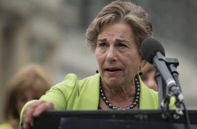 Illinois Rep. Jan Schakowsky On The DNC, Hillary Clinton's Candidacy
