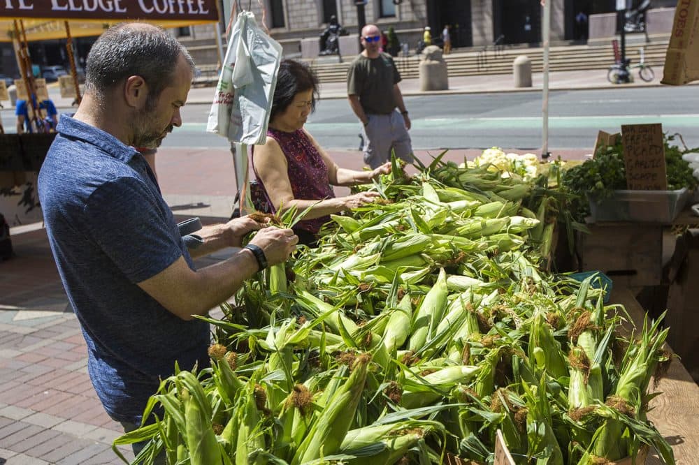 At the Copley Square Farmers Market, shoppers sift through undersized ears of corn affected by the lack of rainfall in the area. (Jesse Costa/WBUR)