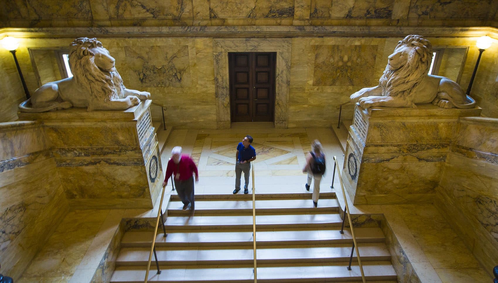The pair of lion statues in the grand staircase at the Boston Public Library. (Jesse Costa/WBUR)