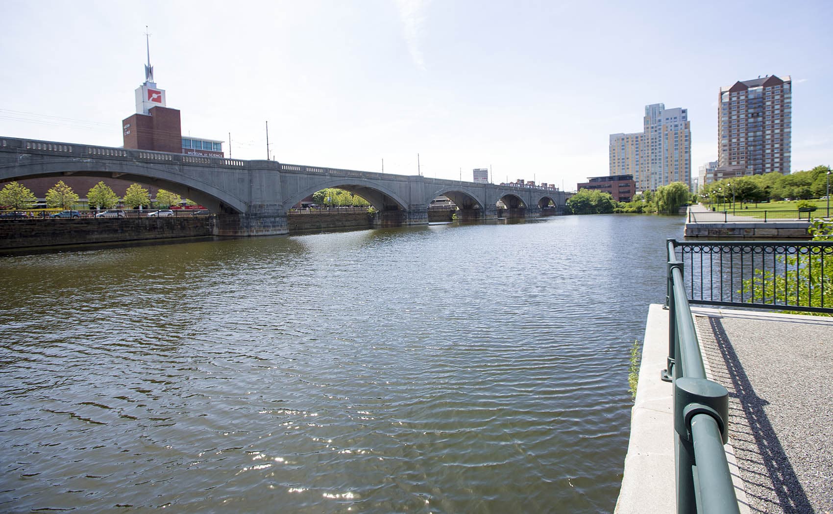 The site by North Point Park where the Charles River Conservancy wants to create a permanent swimming dock. (Jesse Costa/WBUR)